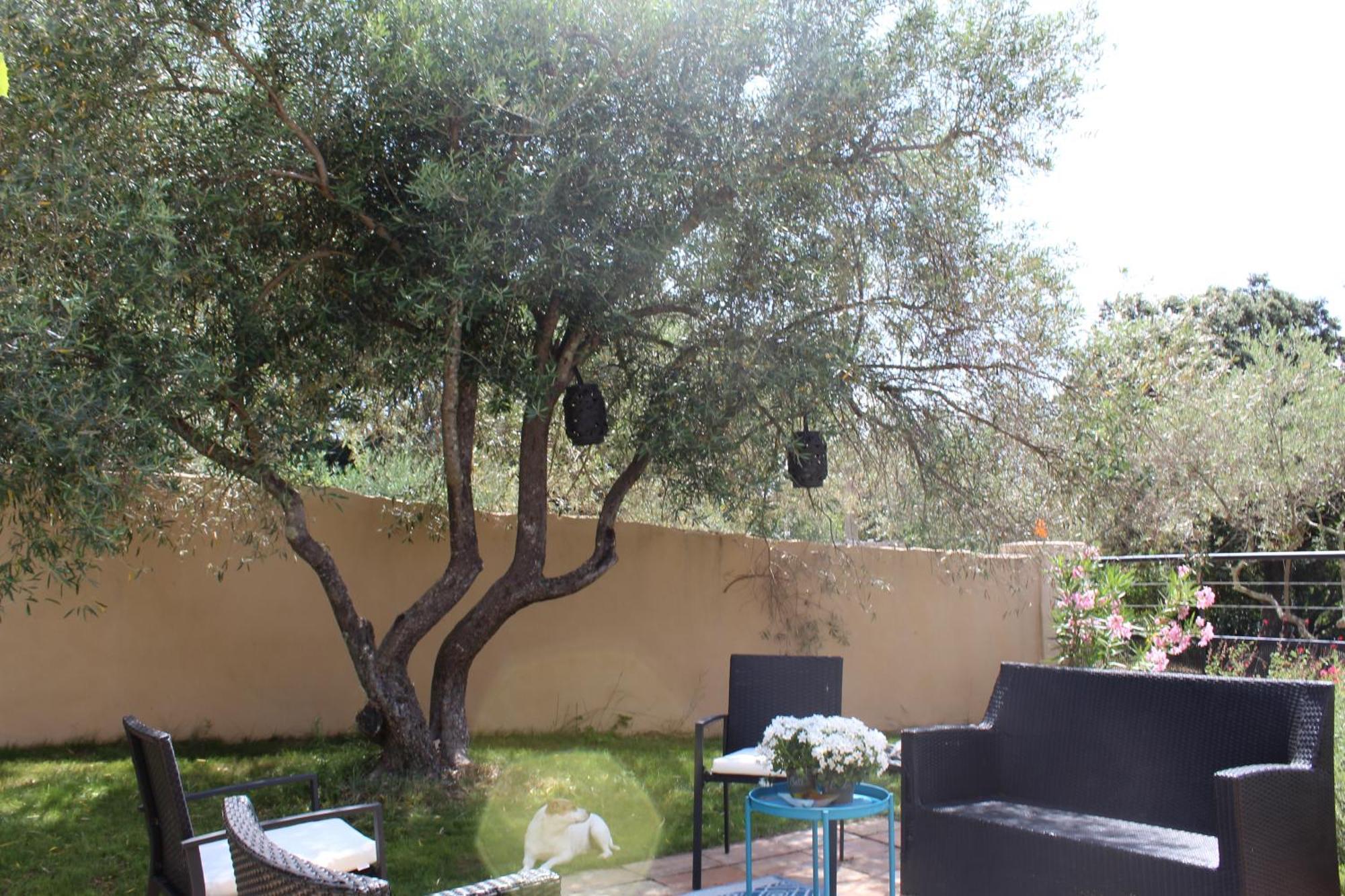 נים Villa Pierre Blanche Le Calme A 5Mn Du Centre Ville מראה חיצוני תמונה